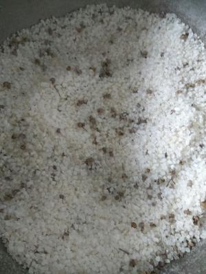 自制鴨胗干(致敬稻香春鴨胗)